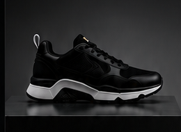 Black and white sneaker on a stand